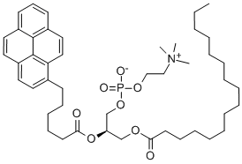 (7R)-4-hydroxy-n,n,n-trimethyl-10-oxo-7-[[1-oxo-6-(1-pyrenyl)hexyl]oxy]-3,5,9-trioxa-4-phosphapentacosan-1-aminium inner salt 4-oxide Structure,103625-33-8Structure