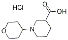 1-(Tetrahydro-2H-pyran-4-yl)piperidine-3-carboxylic acid hydrochloride Structure,1158698-78-2Structure