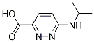 6-(Isopropylamino)pyridazine-3-carboxylic acid Structure,1183803-85-1Structure