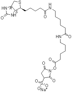 Sulfo-nhs-lc-lc-biotin Structure,194041-66-2Structure