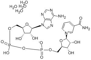 Beta-nicotinamide adenine dinucleotide tetrahydrate Structure,282730-13-6Structure