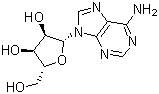 L-adenosine Structure,3080-29-3Structure