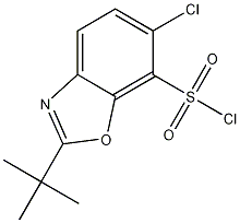 2-Tert-butyl-6-chlorobenzoxazole-7-sulfonyl chloride Structure,361392-60-1Structure