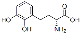 (2R)-2-amino-4-(2,3-dihydroxyphenyl)butanoic acid Structure,372510-80-0Structure