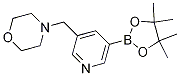 4-[[5-(4,4,5,5-Tetramethyl-1,3,2-dioxaborolan-2-yl)-3-pyridinyl]methyl]-morpholine Structure,919347-16-3Structure