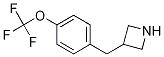 3-[[(4-Trifluoromethoxy)phenyl]methyl]azetidine Structure,937621-11-9Structure