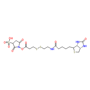 Sulfosuccinimidyl 3-[[2-(biotinamido)ethyl] dithio]propionate Structure,202057-28-1Structure