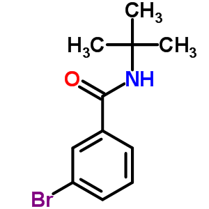 3-Bromo-n-(tert-butyl)benzamide Structure,42498-39-5Structure