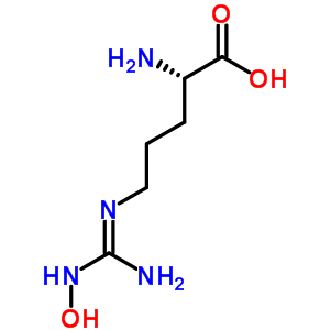 N(5)-[(e)-amino(hydroxyimino)methyl]-l-ornithine Structure,53054-07-2Structure